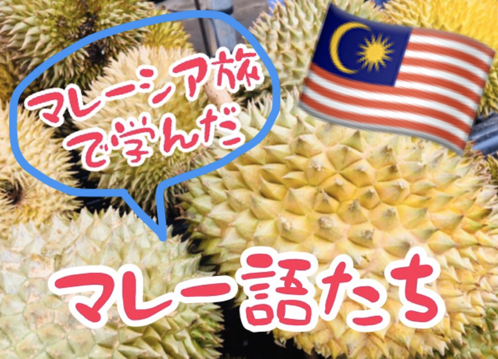 初マレーシアへの旅 で私が学んだ実用的なマレー語たち 初マレーシアへの旅 で私が学んだ実用的なマレー語たち